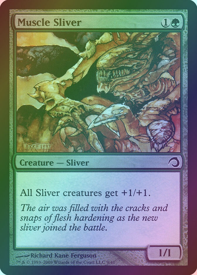Muscle Sliver (H09) (9) / Foil