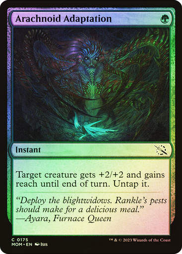 Arachnoid Adaptation (mom) / Foil