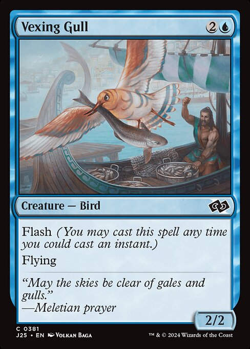Vexing Gull (J25) (381)