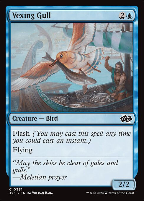 Vexing Gull (J25) (381)