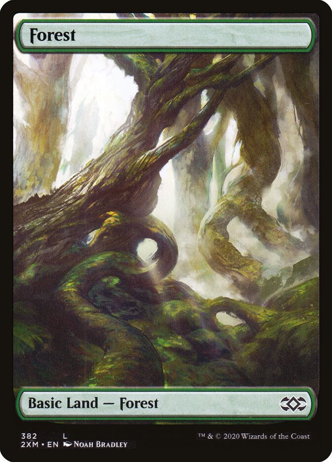 Forest (2XM) (382)