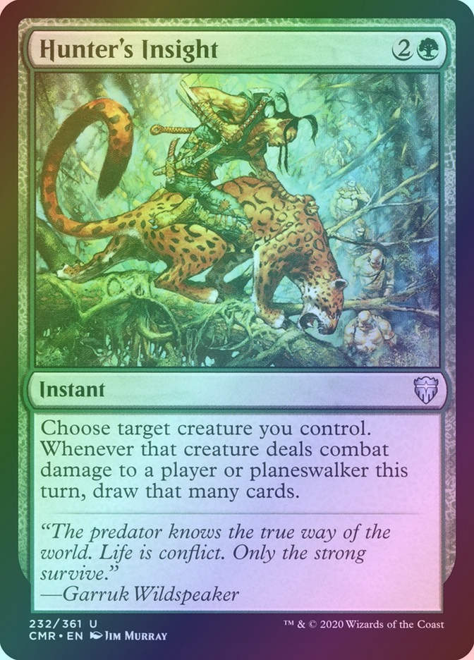 Hunter's Insight (CMR) (232) / Foil