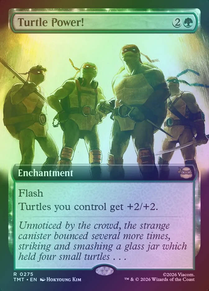 Turtle Power! (TMT) (275) / Extended Art / Foil