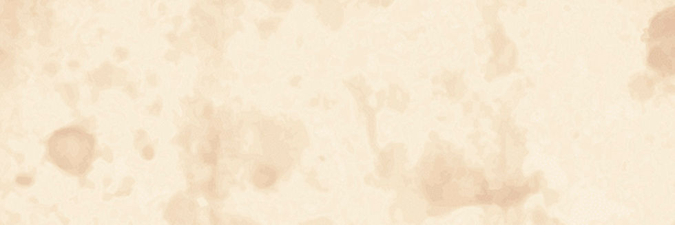 Fundo site.jpg