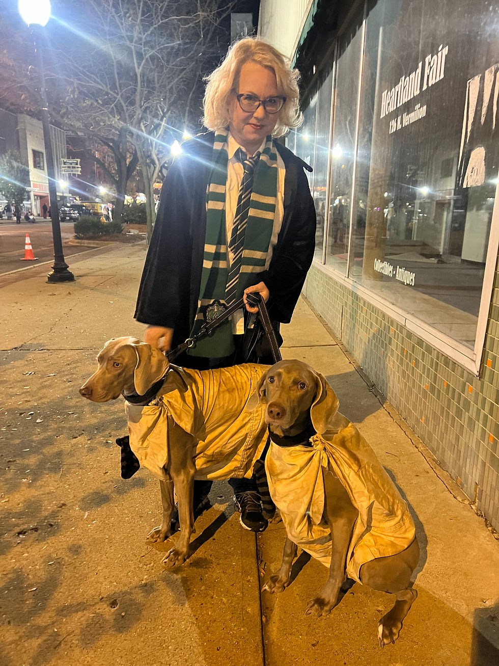Potterfest Downtown