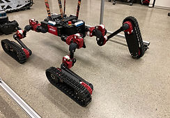 Cricket Robot Dr Alex.JPEG