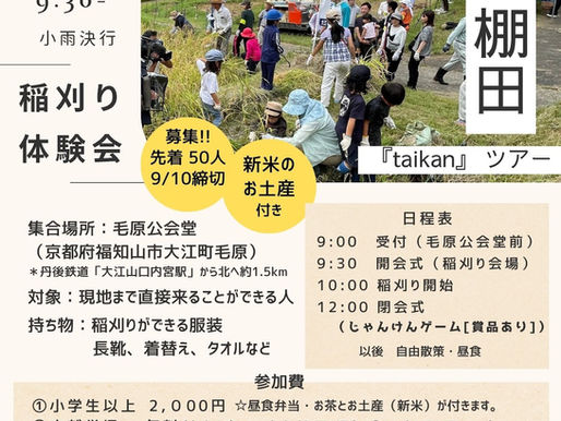 毛原の棚田 稲刈り体験会