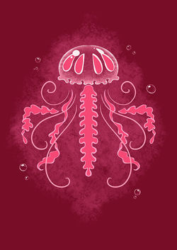 Jellyfish