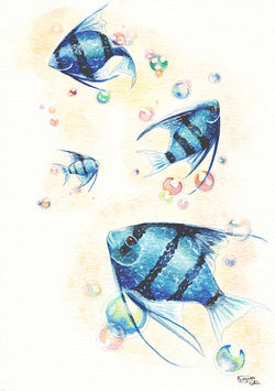 Poissons bleus
