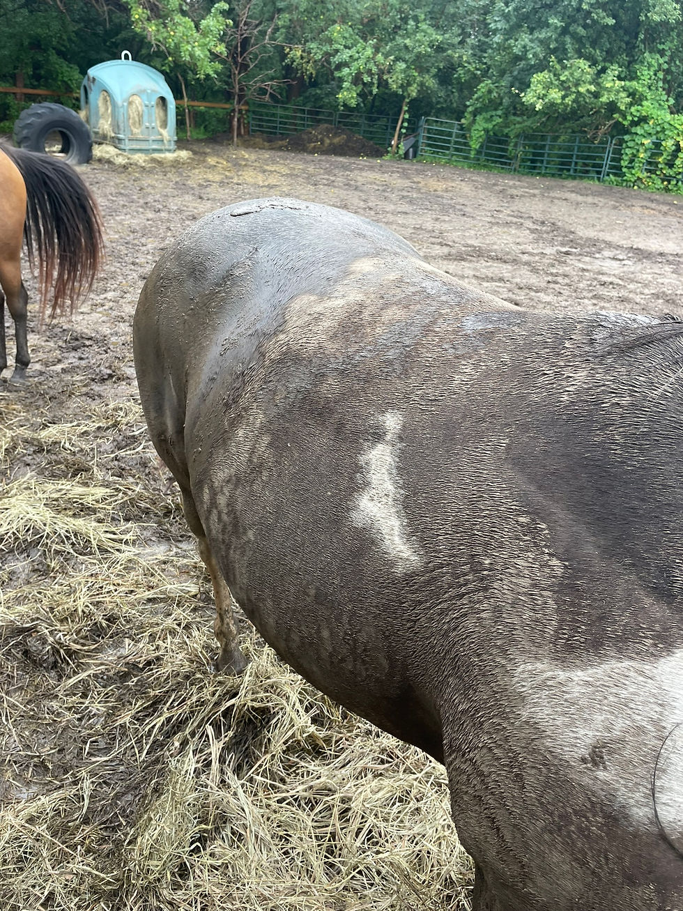 Leaving the Muck Behind