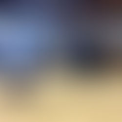 Equine Gestalt