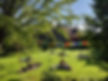 aa8ddfae-7c0b-4ebf-aa8f-13390453778e.JPG