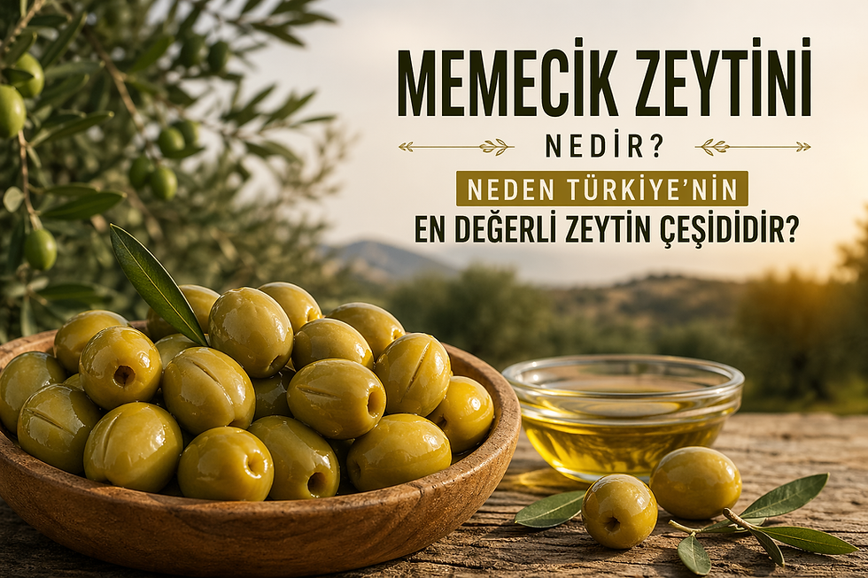 Memecik Zeytini Nedir? Neden Türkiye'nin En Değerli Zeytin Çeşididir?