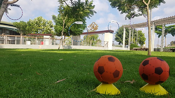 20190808_163920.jpg