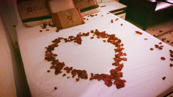 Romance Package
