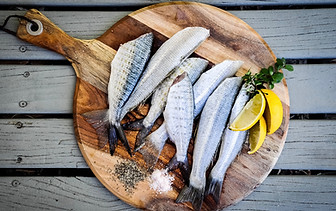 Morning Catch_edited.jpg