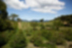 Green Horizon