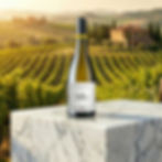 Tenute Pieralisi Verdicchio dei Castelli di Jesi DOC Classico Superiore “Villaia”