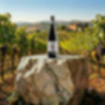 Pietro Zardini 70/30 IGT Corvina Cabernet