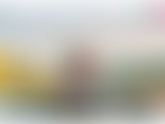 Nieuwe website voor Rijschool Wildenberg