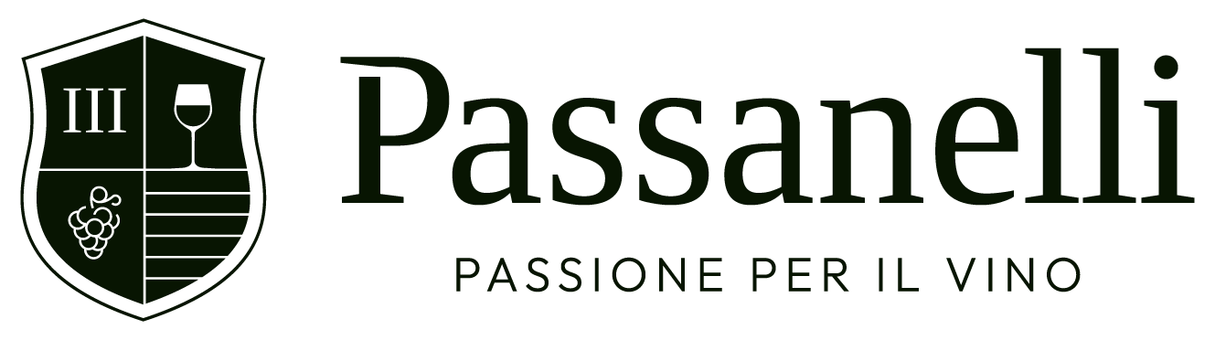 Logo-Passanelli-liggend.png