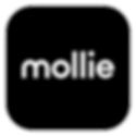 Mollie partner voor Wix websites