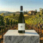 Mon Carul Ampo Dottore – Riesling