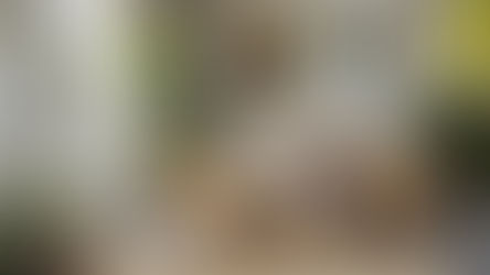 Opslagruimte huren Limburg