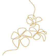 birthrite flower orange.png