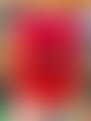  A Casa Torta, de Agatha Christie