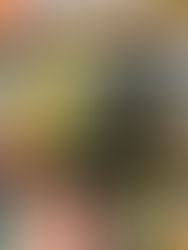 Devoradores de Estrelas, Andy Weir