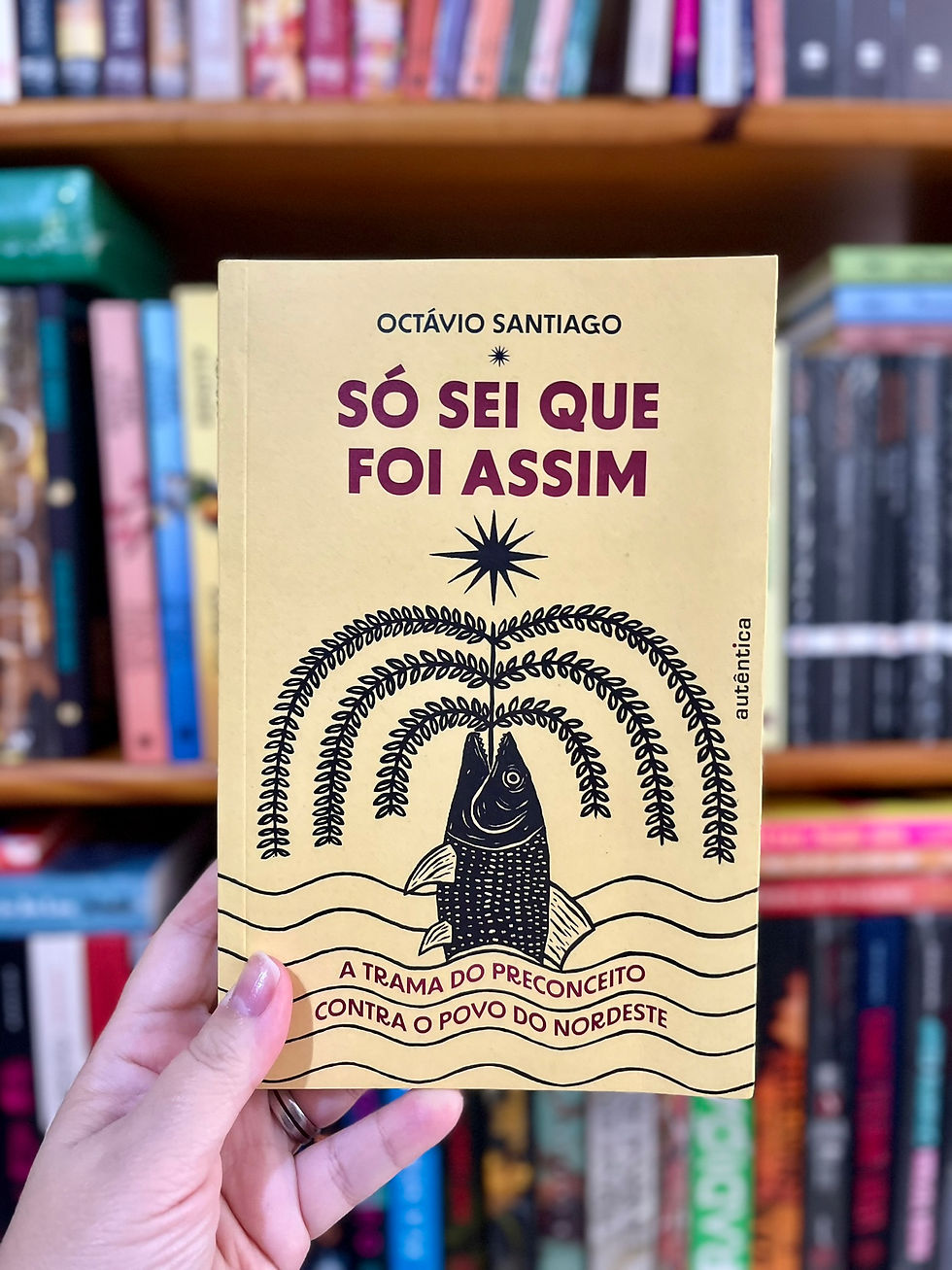 Só Sei Que Foi Assim – Octávio Santiago