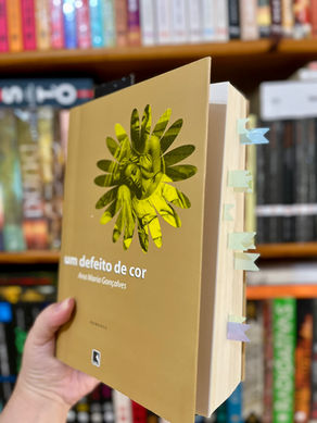 Um Defeito de Cor, de Ana Maria Gonçalves