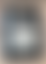 capa livro Extraordinário