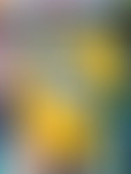 Verão no Aquário, de Lygia Fagundes Telles