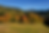 Vue d'une forêt de la Veveyse en automn