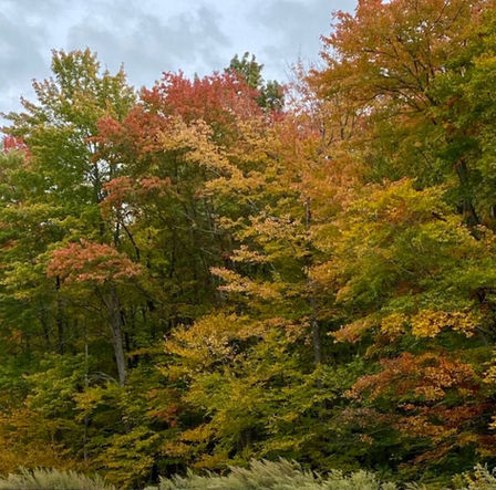 Wellsboro and Leaf Peeping