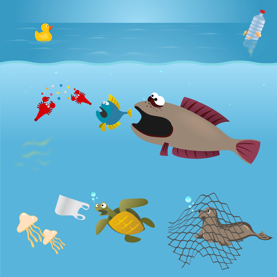 cartoon picture of fish bamboo