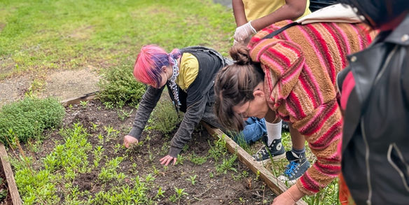 Volunteers gardening in a raised garden bed