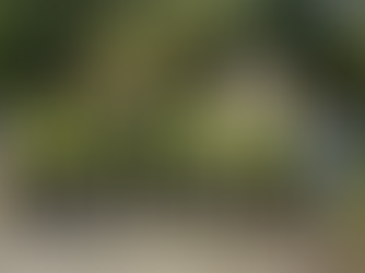 Friends flying the flag for outstanding efforts in Cramlington