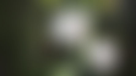 Environmental projects receive financial boost