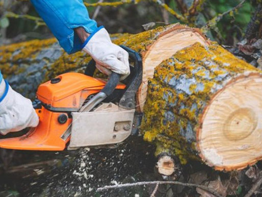 Council teams respond to Storm Floris