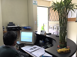 Quimico Umwelt Ecuador Quito