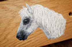 Horse Name Sign With Portrait