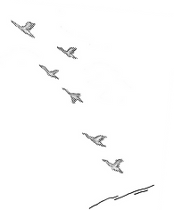 IMG_9973_edited_edited.png