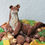 Thumbnail: Chocolate Stoat Cake! (GF)