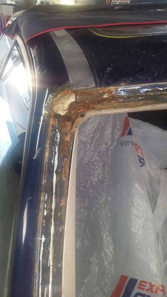 15966122_709231652584775_2843590653201143861_n