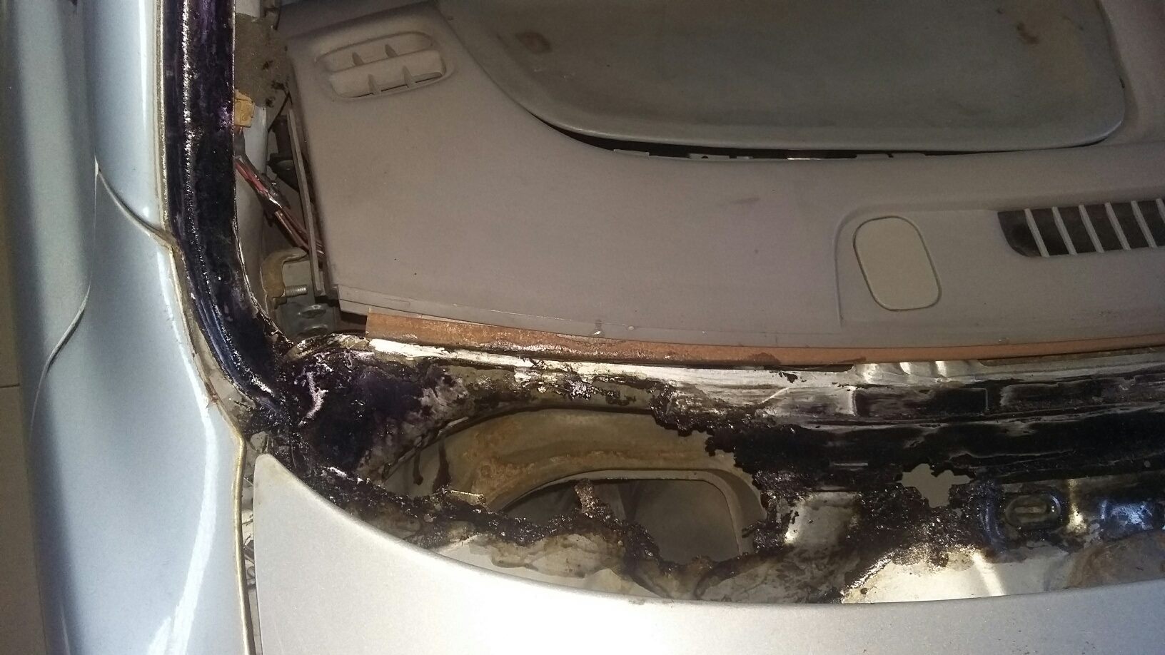 15731771_703998119774795_853063311048453592_o