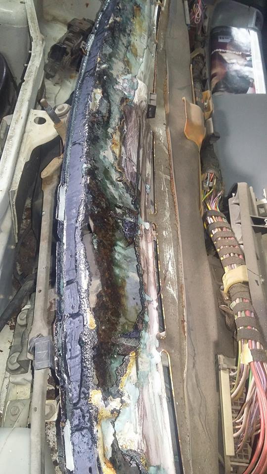 15492565_696248350549772_3084070386943454692_n