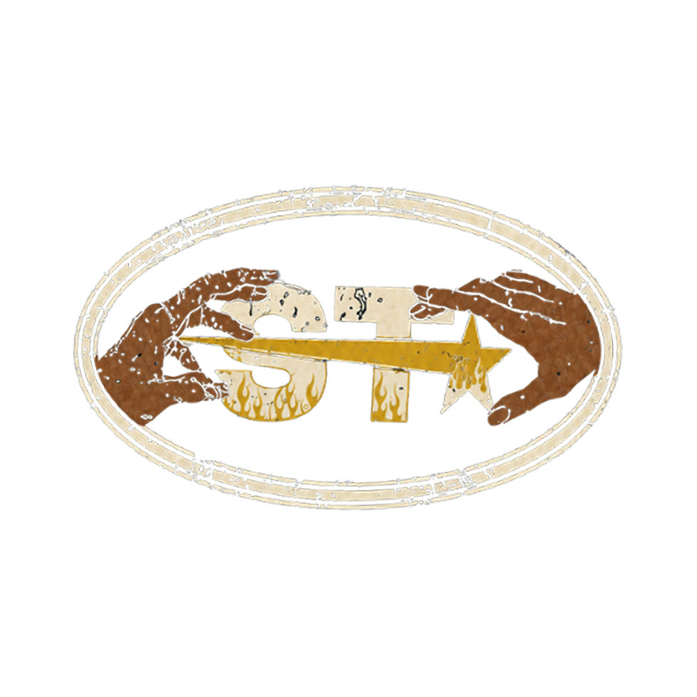 SAYTWIN logo artwork